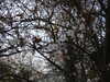 20210322165646-DSCN6874.JPG