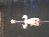 20210322171140-DSCN6875.JPG