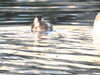 20210322171154-DSCN6876.JPG