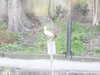 20210322171818-DSCN6884.JPG