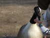 20210330155022-DSCN6891.JPG