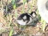 20210330155436-DSCN6896.JPG
