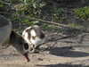 20210330155905-DSCN6905.JPG
