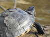 20210330161048-DSCN6923.JPG