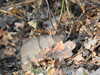 20210330162625-DSCN6934.JPG