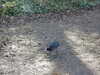 20210330163116-DSCN6937.JPG