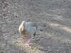 20210330163203-DSCN6940.JPG