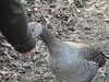 20210330163214-DSCN6942.JPG