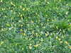 20210330164620-DSCN6951.JPG