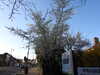 20210330164851-DSCN6955.JPG