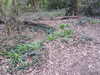 20210410111631-DSCN6957.JPG