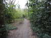 20210410111643-DSCN6958.JPG