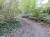 20210410111722-DSCN6959.JPG
