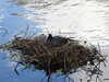 20210411133251-DSCN6969.JPG