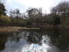 20210411133859-DSCN6971.JPG