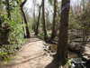 20210411134848-DSCN6976.JPG