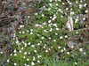 20210411135653-DSCN6980.JPG