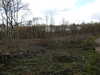 20210411140019-DSCN6982.JPG