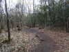 20210411140503-DSCN6984.JPG