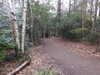 20210411140549-DSCN6985.JPG