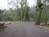 20210411141233-DSCN6988.JPG