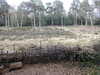 20210411141500-DSCN6989.JPG