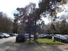 20210411141624-DSCN6965.JPG