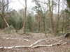 20210411142110-DSCN6990.JPG