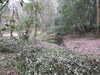 20210411142219-DSCN6992.JPG