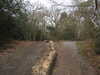 20210411143204-DSCN6993.JPG