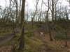 20210411143416-DSCN6994.JPG