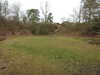 20210411143421-DSCN6995.JPG