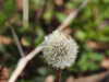 20210418095140-DSCN7001.JPG