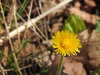 20210418095147-DSCN7002.JPG