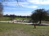 20210418102520-DSCN7005.JPG