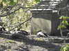 20210418102848-DSCN7009.JPG