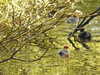20210418103013-DSCN7011.JPG