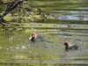 20210418103028-DSCN7012.JPG