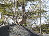 20210418103422-DSCN7019.JPG