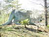 20210418103426-DSCN7020.JPG