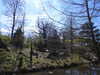 20210418103841-DSCN7026.JPG