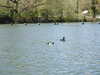 20210418105853-DSCN7038.JPG