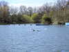 20210418105856-DSCN7039.JPG