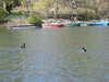 20210418105904-DSCN7040.JPG