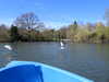 20210418105917-DSCN7042.JPG