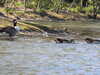 20210418110039-DSCN7047.JPG