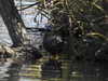 20210418110149-DSCN7050.JPG