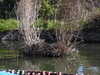 20210418110446-DSCN7054.JPG