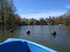 20210418110937-DSCN7060.JPG