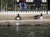 20210418111802-DSCN7062.JPG